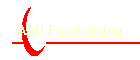 AAU Fundraising